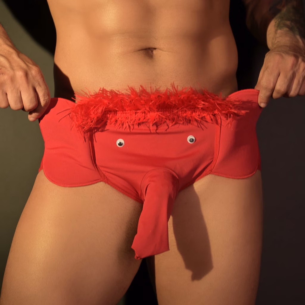 LINGERIE : Cueca de Elefante - imagem do produto