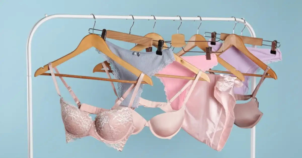 Lingerie no Atacado: Guia do Lojista (2026)